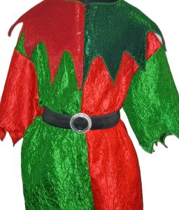 Kids Costumes to Hire - ELF Dress 